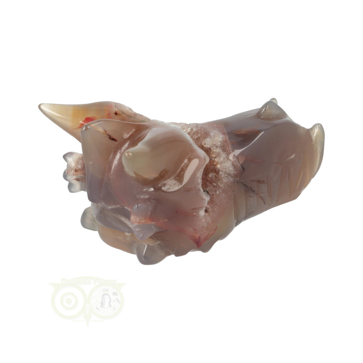 Agate Geode Dragon Skull 286 grams