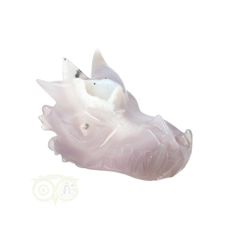 Agaat geode drakenschedel 311 gram | Edelstenen Draak