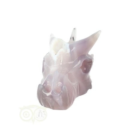 Edelstenen draak agaat geode 311 gram carving
