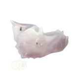 Agaat Geode Drakenschedel 311 gram