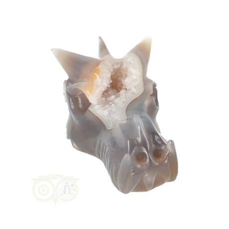 Agaat Geode Drakenschedel 331 gram