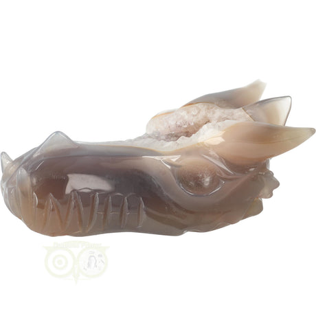 Agaat draken schedel 331 gram met natuurlijke patronen