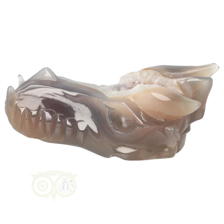 Agaat geode draak 331 gram met unieke structuur