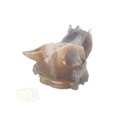Agaat drakenschedel carving 331 gram met geode vorm