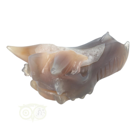 Agaat geode schedel draak 331 gram edelsteen