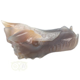 Agaat Geode Drakenschedel 331 gram