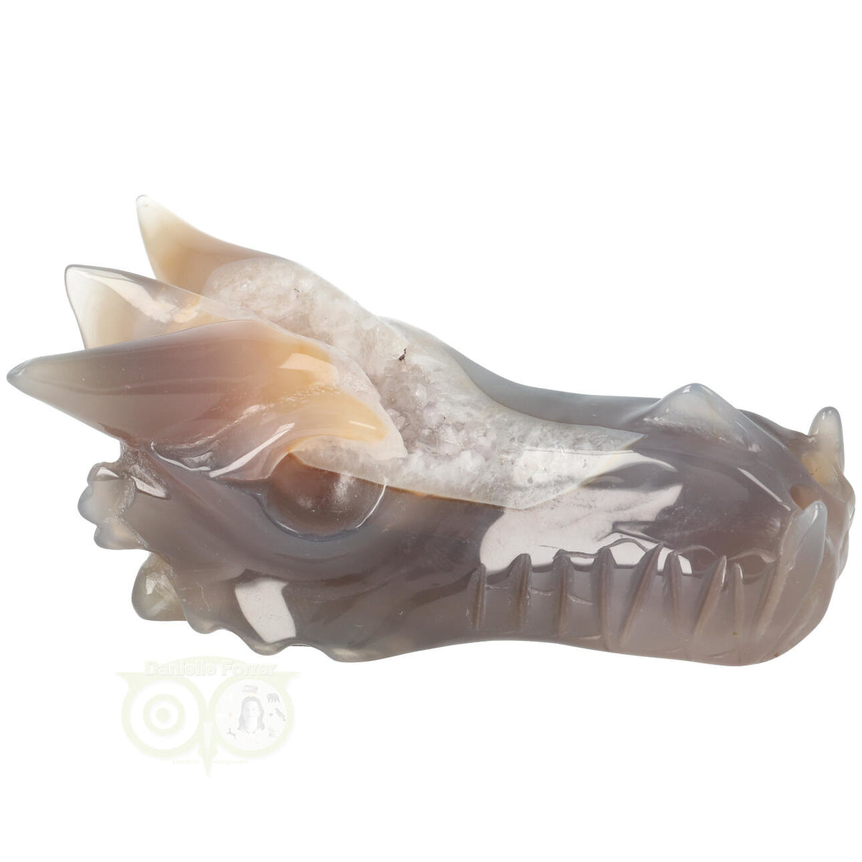 Agaat geode draken schedel 331 gram met natuurlijke tekening