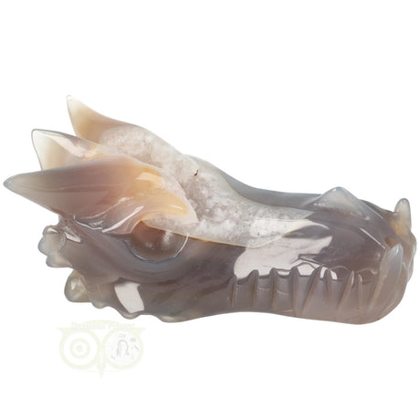 Agaat geode draken schedel 331 gram met natuurlijke tekening