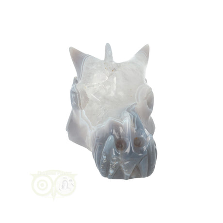 Edelstenen draak agaat geode 357 gram carving