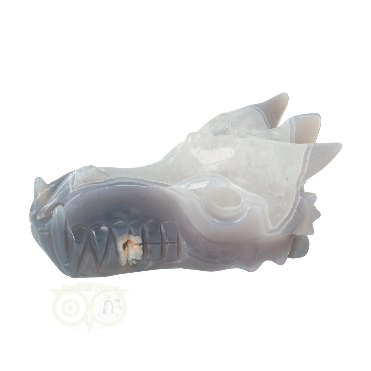 Agaat Geode Drakenschedel 357 gram