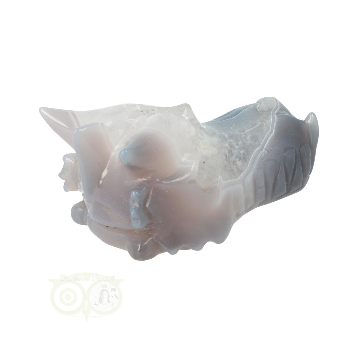 Agaat Geode Drakenschedel 357 gram