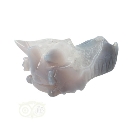 Agaat drakenschedel carving 357 gram met geode vorm