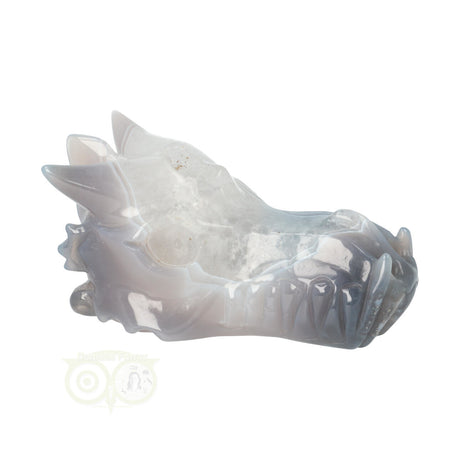 Agaat geode draken schedel 357 gram met natuurlijke tekening