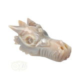 Agaat geode draak 477 gram met gemêleerde kleuren