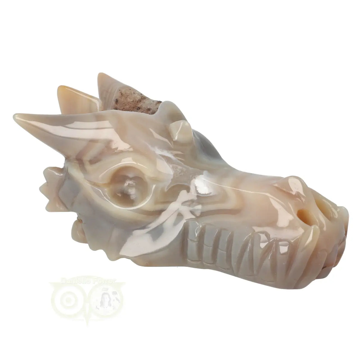 Agaat geode draken schedel 477 gram met natuurlijke tekening