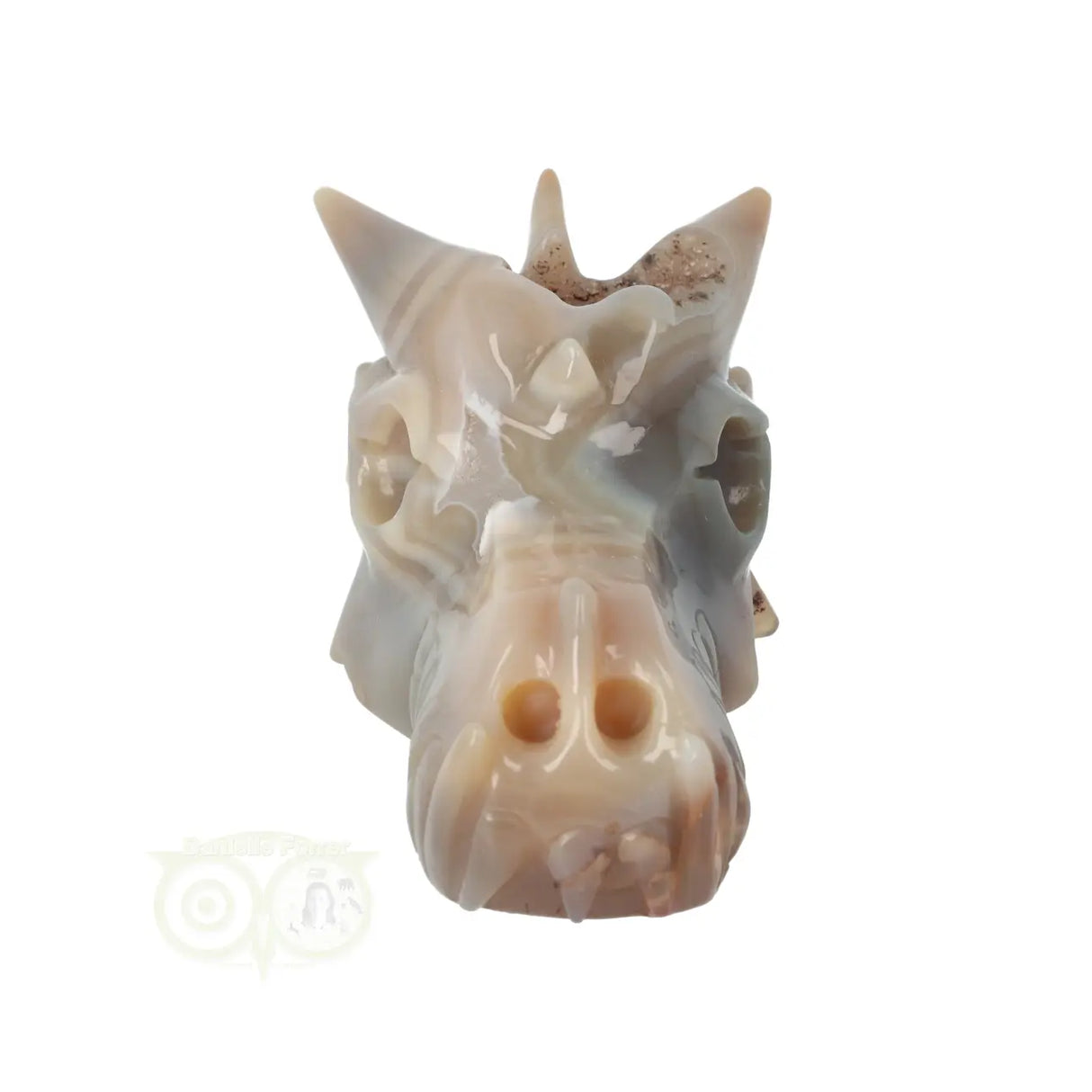 Agaat Geode Drakenschedel 477 gram