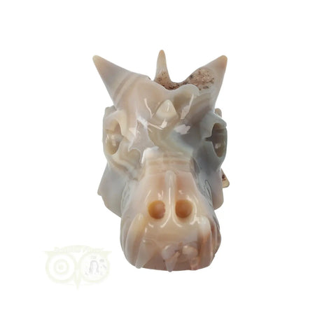 Edelstenen draak agaat geode 477 gram carving