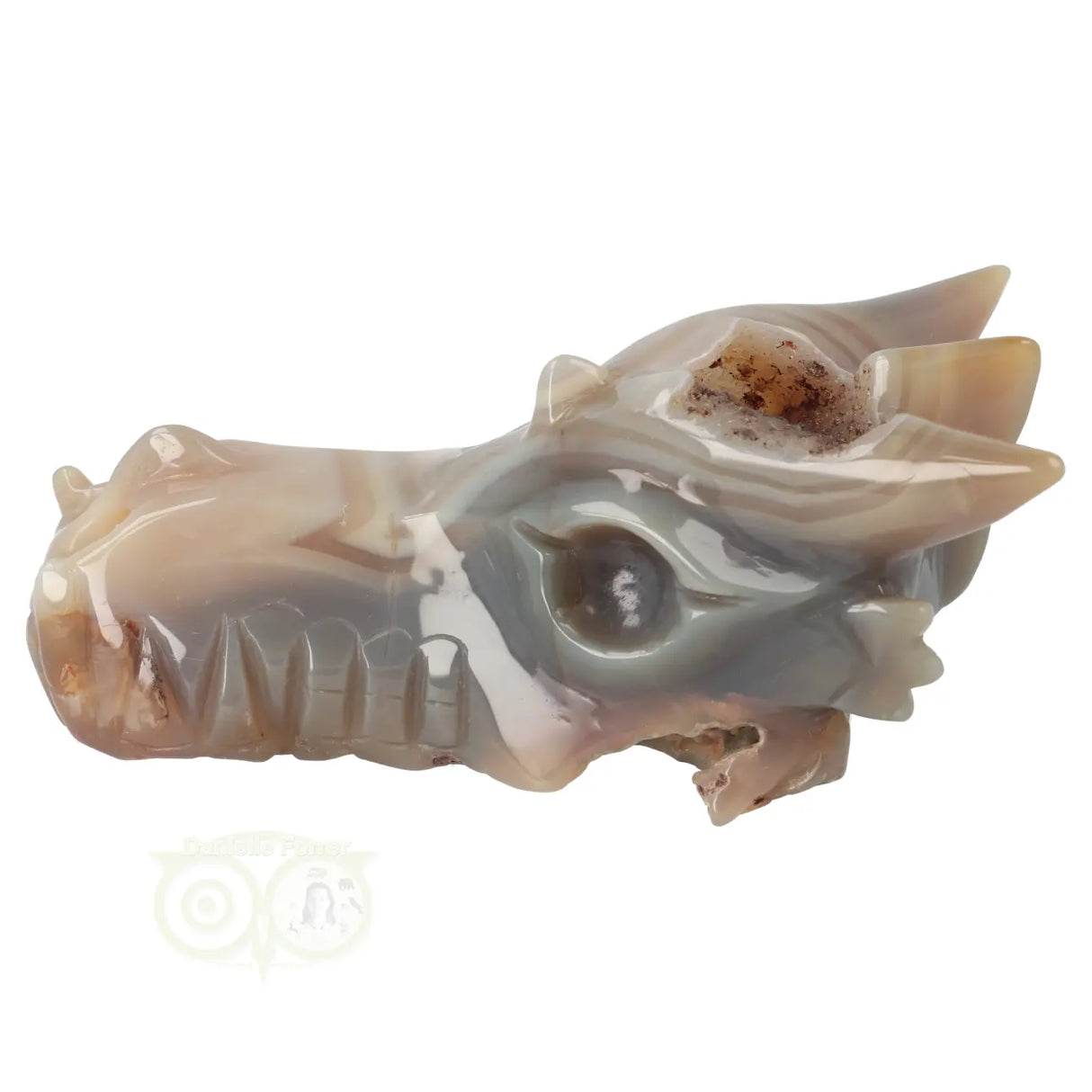 Agaat Geode Drakenschedel 477 gram