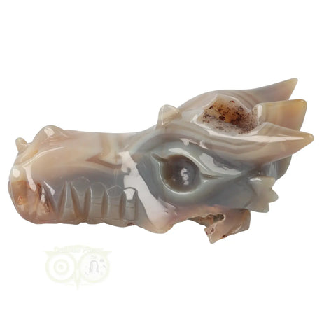 Agaat drakenschedel carving 477 gram met geode vorm