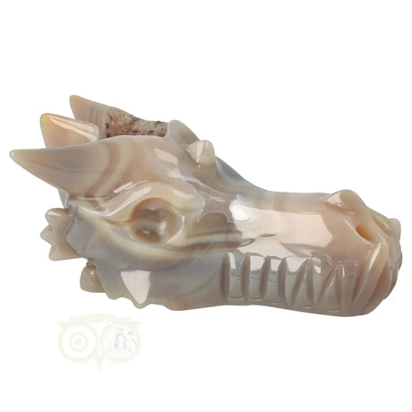 Agaat geode schedel draak 477 gram edelsteen