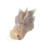 Agaat Geode Drakenschedel 493 gram