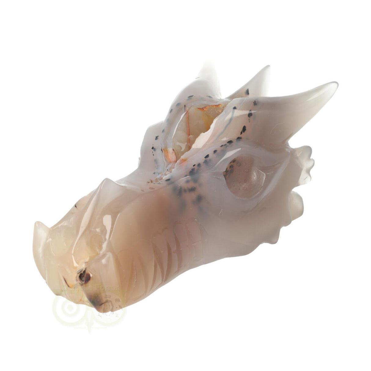 Agaat Geode Drakenschedel 493 gram