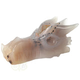 Agaat Geode Drakenschedel 493 gram