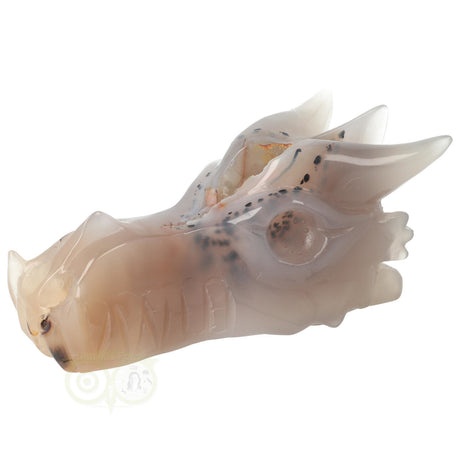 Agaat drakenschedel carving 493 gram met geode vorm