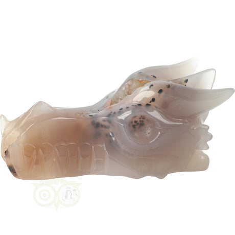 Agaat geode draak 493 gram met fossiele structuur