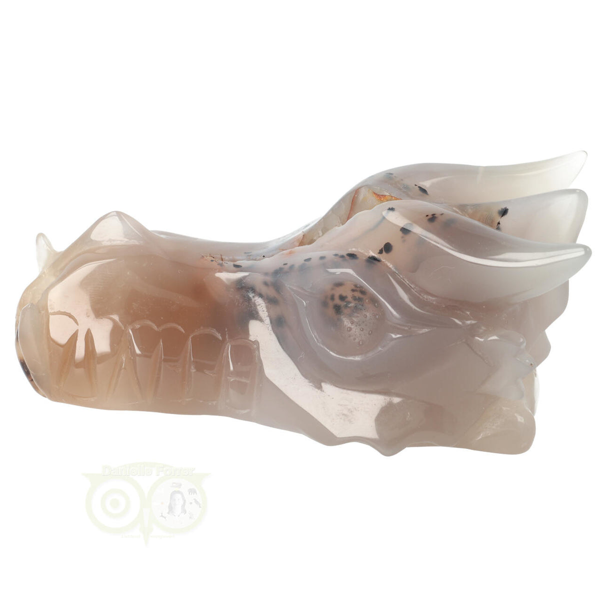 Agaat Geode Drakenschedel 493 gram