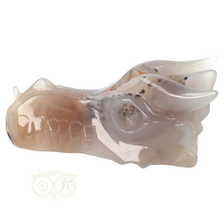 Agaat draken schedel 493 gram met zwarte patronen