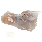 Agaat Geode Drakenschedel 493 gram