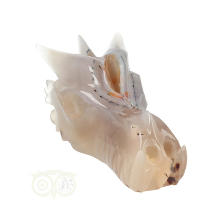 Agaat geode drakenschedel 493 gram | Edelstenen Draak