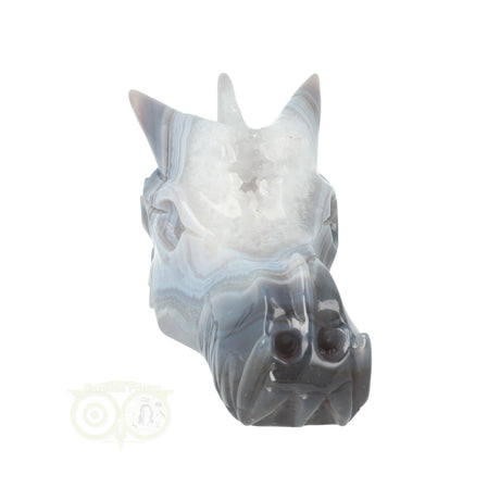 Edelstenen draak agaat geode 543 gram met natuurlijke tekening