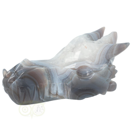 Agaat draken schedel carving 543 gram met geode vorm