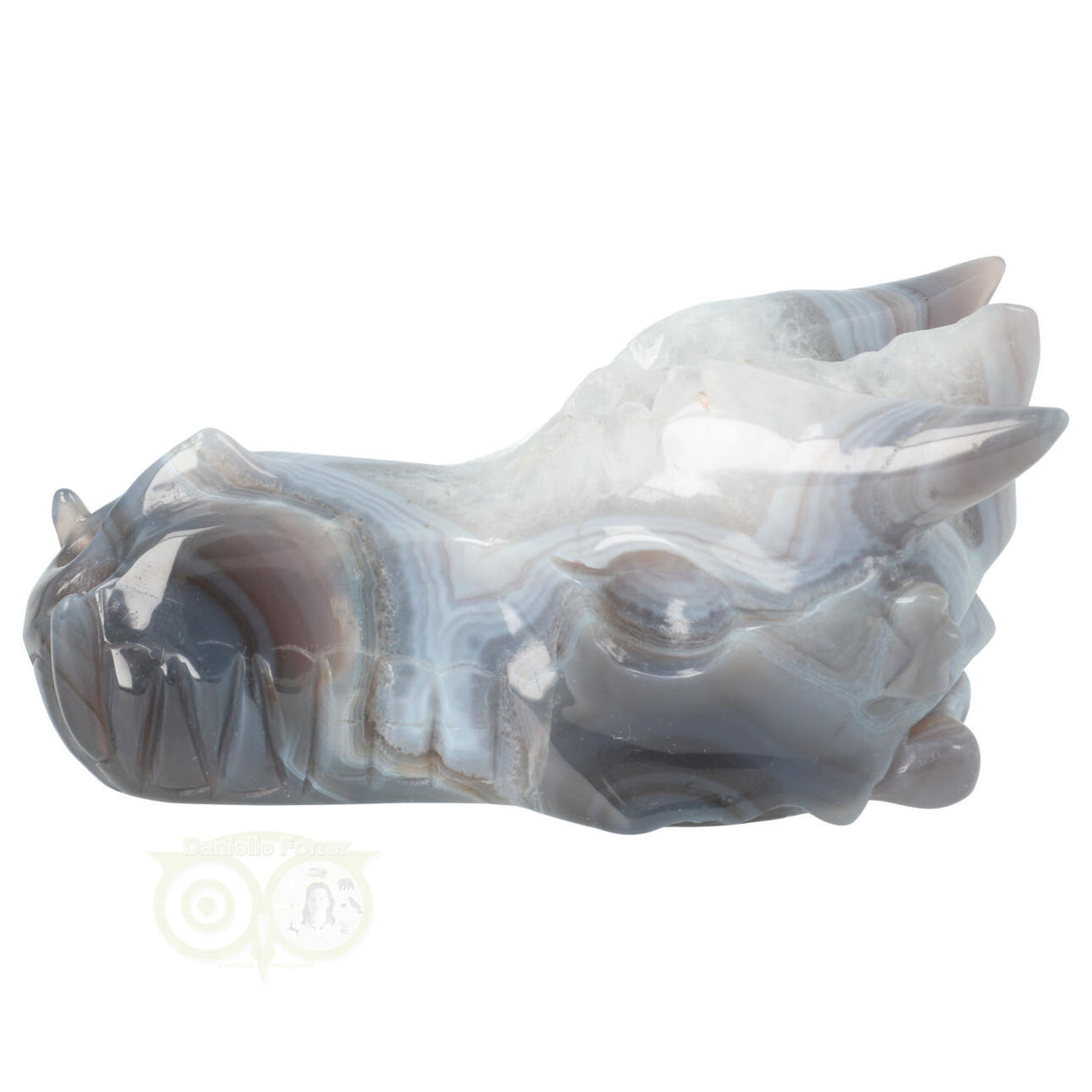 Agaat Geode Drakenschedel  543 gram