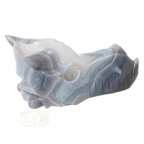Agaat geode schedel draak 543 gram uniek exemplaar