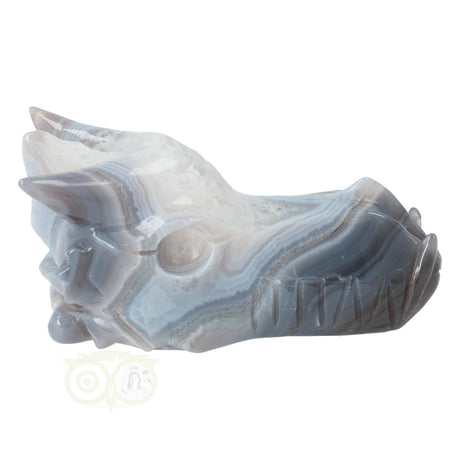 Edelstenen drakenschedel agaat geode 543 gram carving