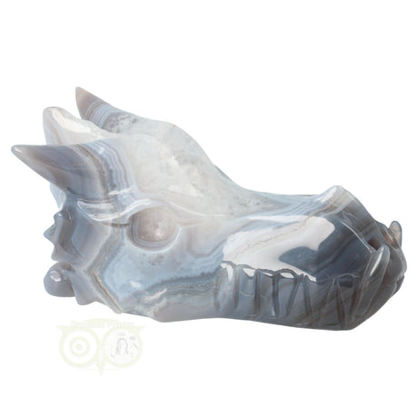 Agaat geode draken schedel 543 gram met natuurlijke patronen