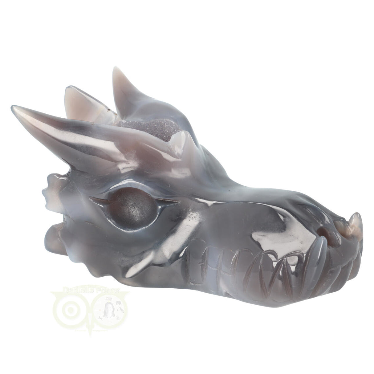 Agaat Geode Drakenschedel 589 gram