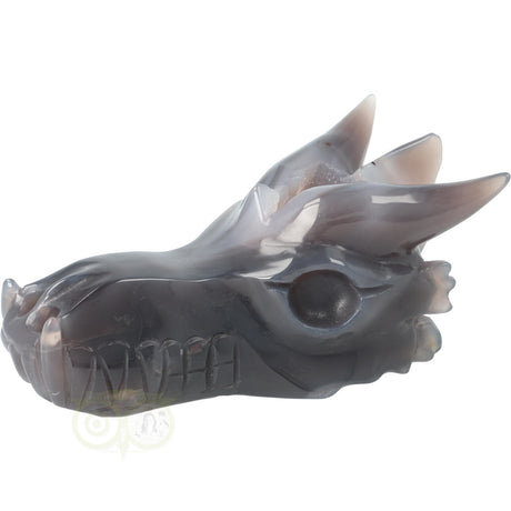 Agaat geode schedel draak 589 gram edelsteen