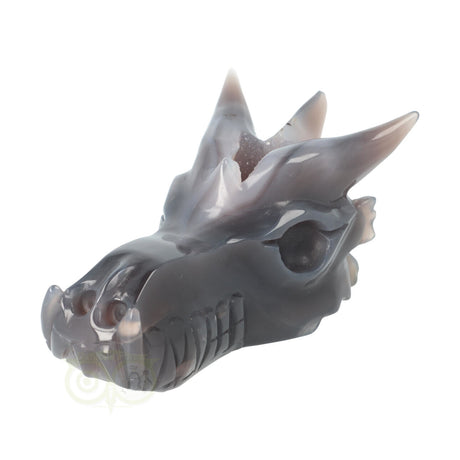 Agaat drakenschedel carving 589 gram met geode vorm