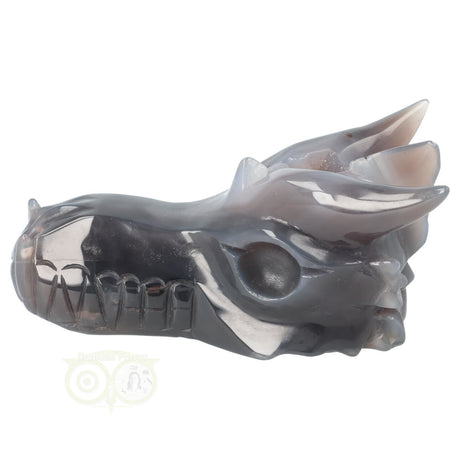 Agaat geode draak 589 gram met diepe tinten