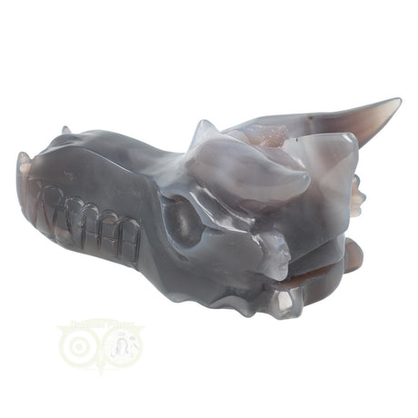 Agaat draken schedel 589 gram met donkere kleur en structuur