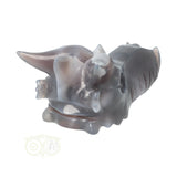 Agaat Geode Drakenschedel 589 gram