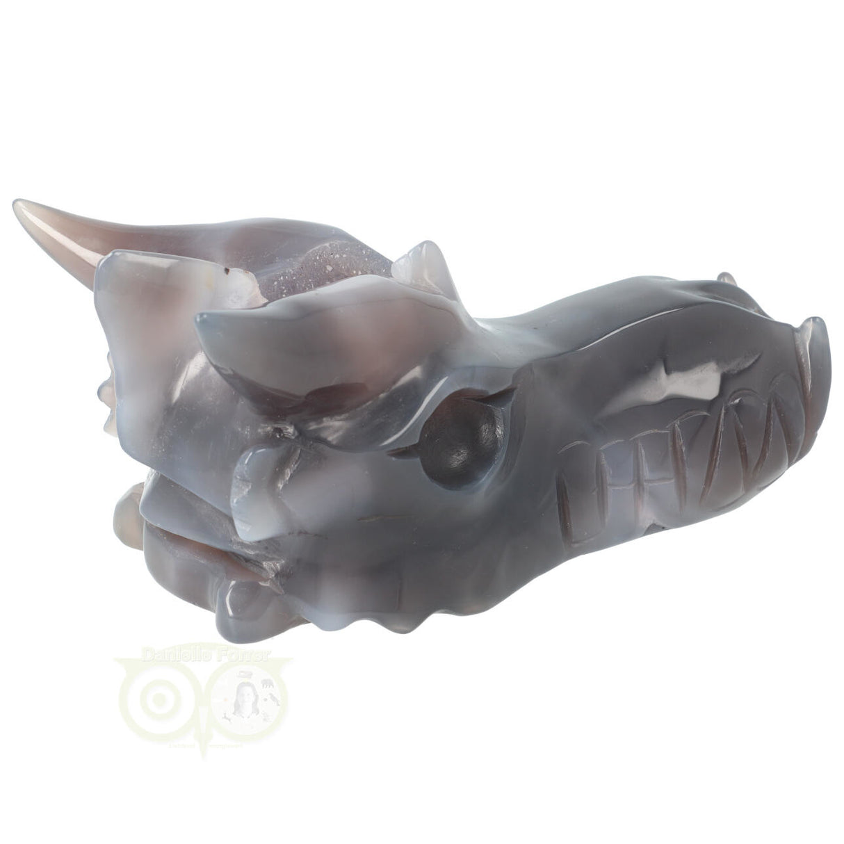 Agaat Geode Drakenschedel 589 gram