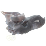 Agaat Geode Drakenschedel 589 gram