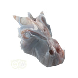 Agate Geode Dragon Skull 596 grams