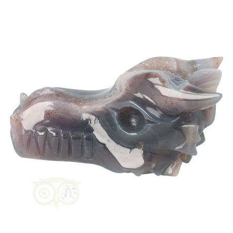 Agaat draken schedel 596 gram met natuurlijke patronen