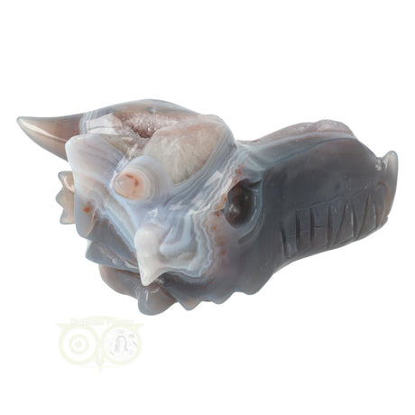Agaat drakenschedel carving 596 gram met geode vorm